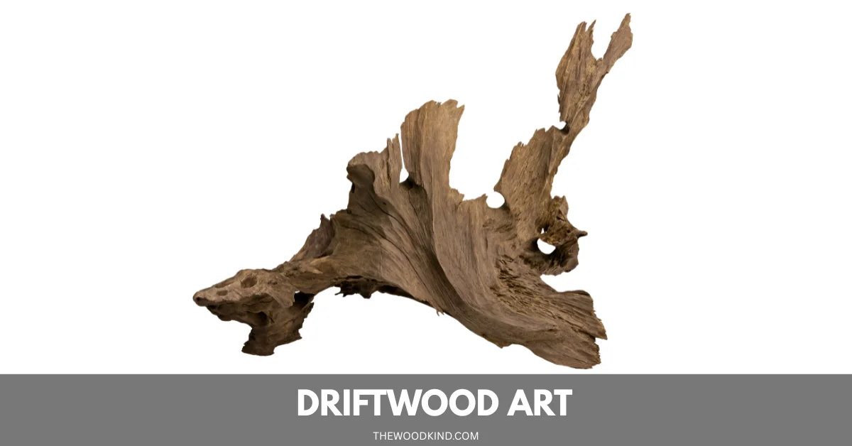 Driftwood Art