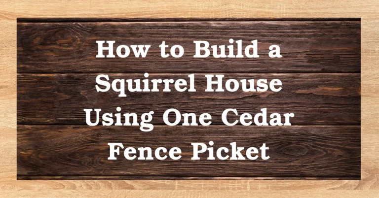 How to Build a Squirrel House Using One Cedar Fence Picket