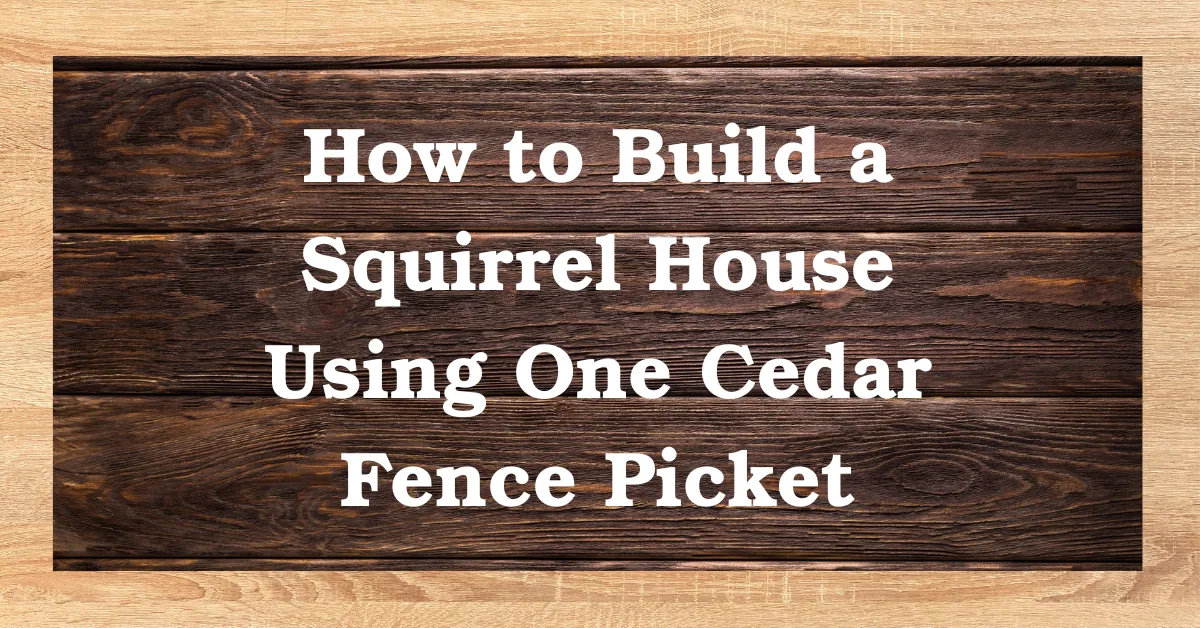 How to Build a Squirrel House Using One Cedar Fence Picket