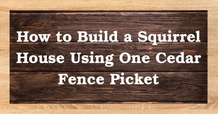 How to Build a Squirrel House Using One Cedar Fence Picket