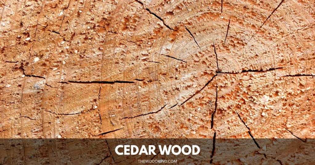Cedar Wood
