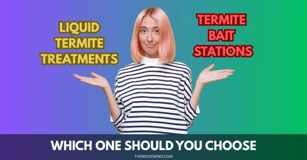 Which One Should You Choose