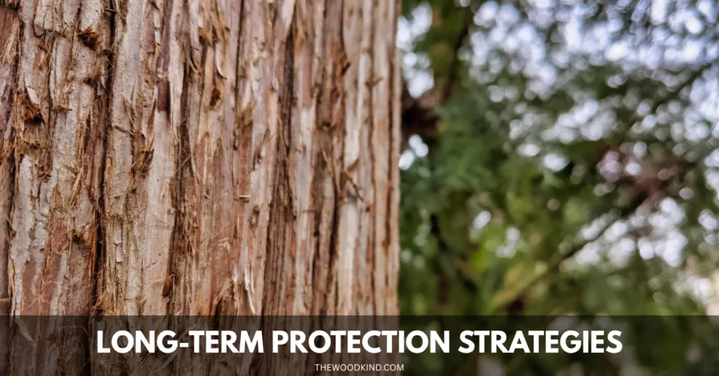Long-Term Protection Strategies