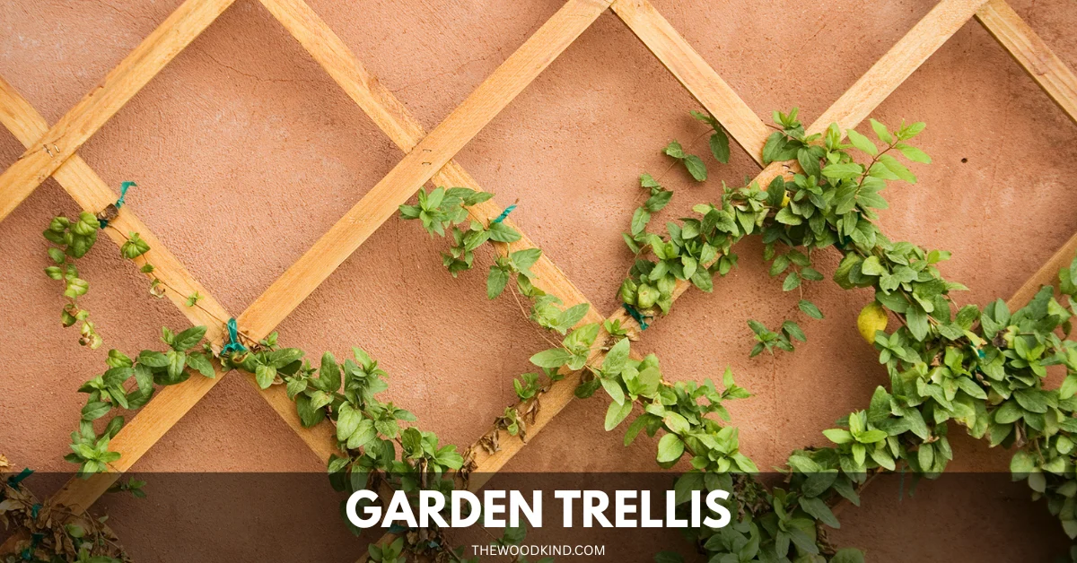 Garden Trellis