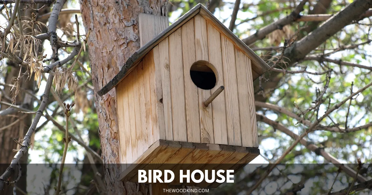 Bird House