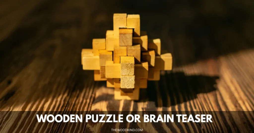 Wooden Puzzle or Brain Teaser