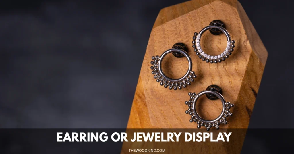 Earring or Jewelry Display